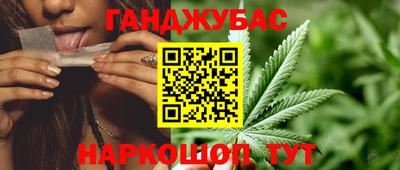 сатива Моздок