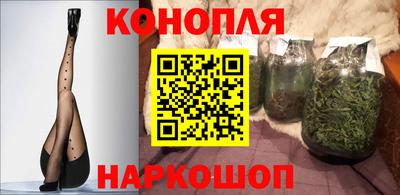 сатива Моздок