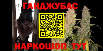 сатива Моздок