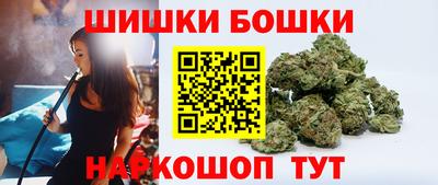 соль ск Можга