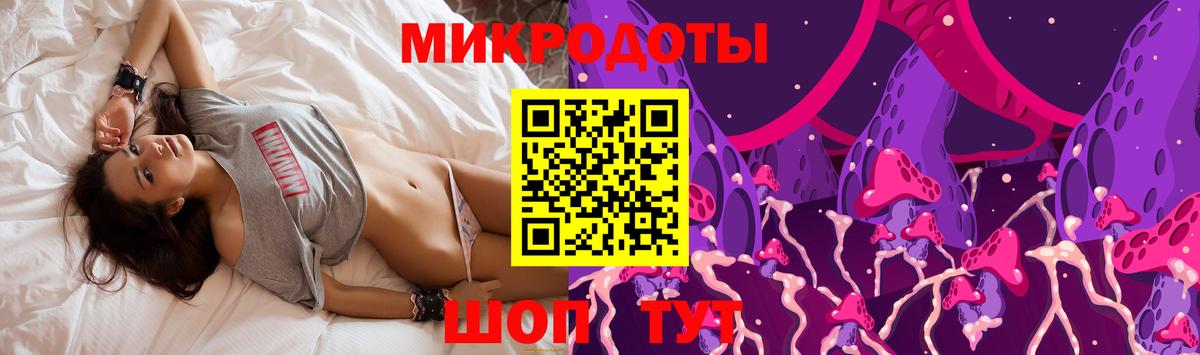 Галлюциногенные грибы Psilocybe Фрязино